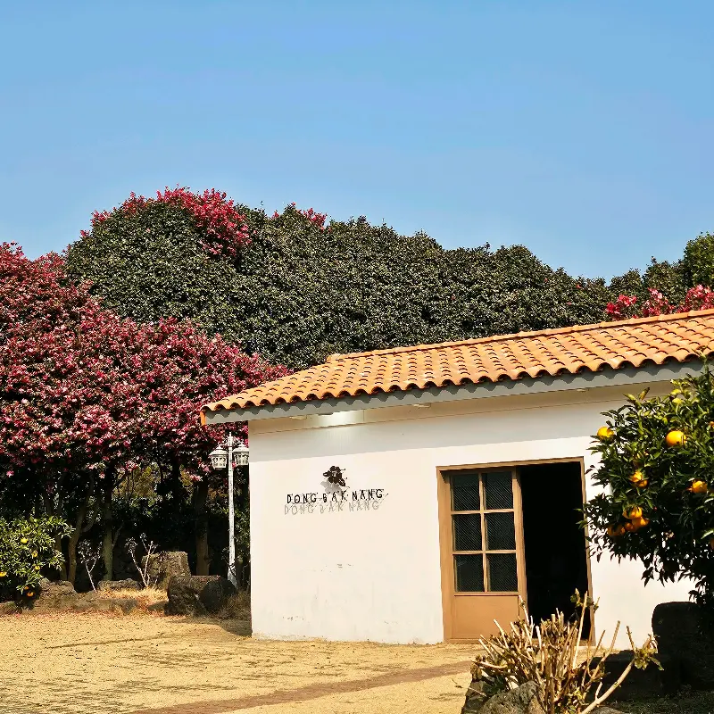 동백꽃으로 둘러싸인 작은 집, 동박낭의 전경