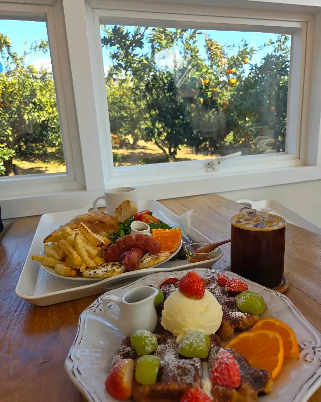 창밖 풍경과 브런치