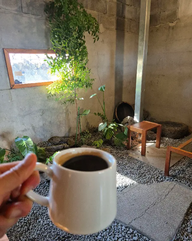 카페 내부에서 보이는 푸릇푸릇한 풍경