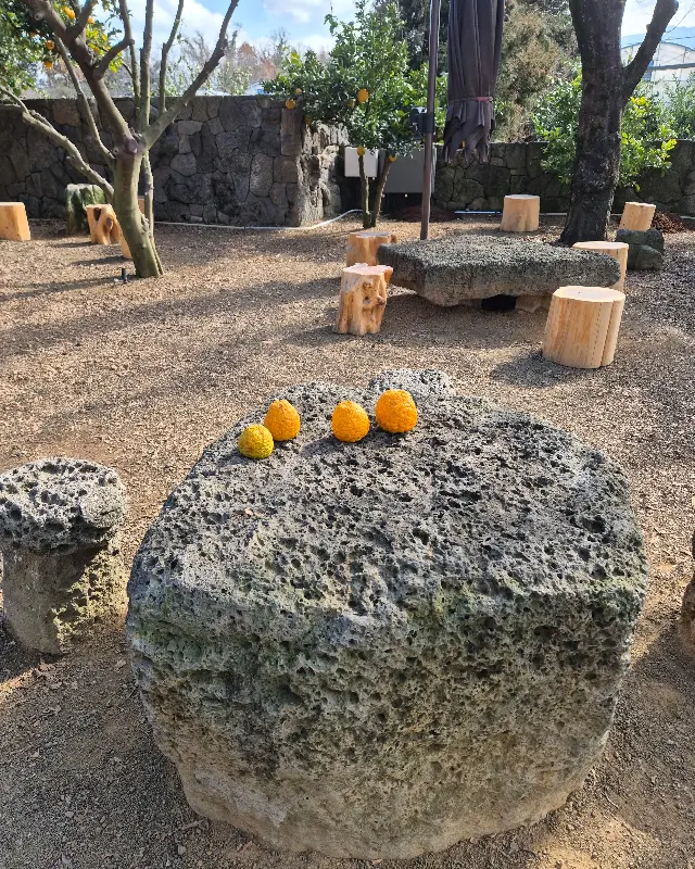돌 테이블 위에 놓인 귤이 정겹다