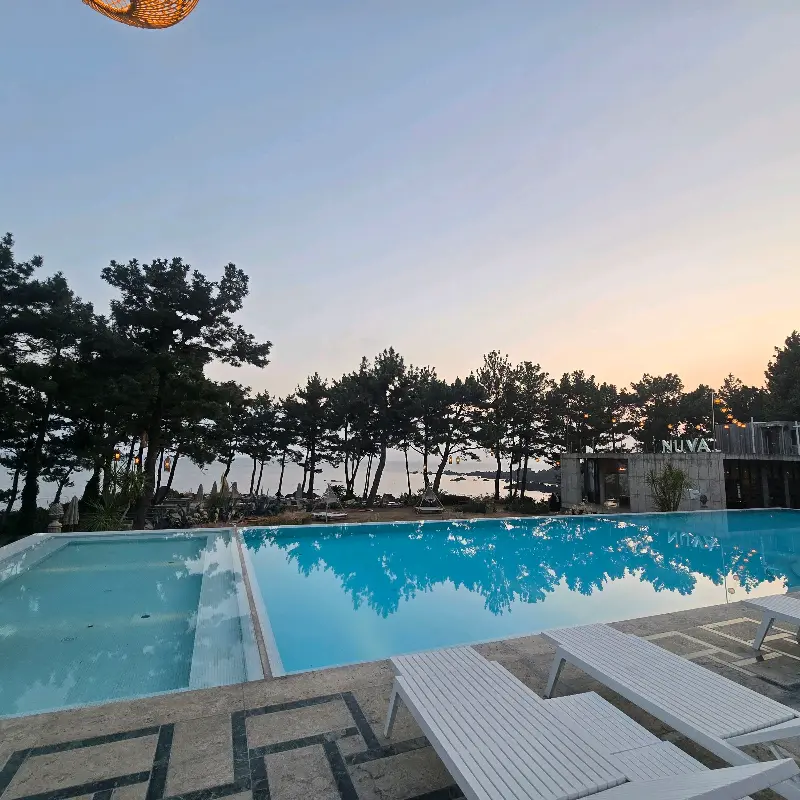 해질 무렵의 카페 야외 수영장과 주변 나무, 멀리 보이는 바다