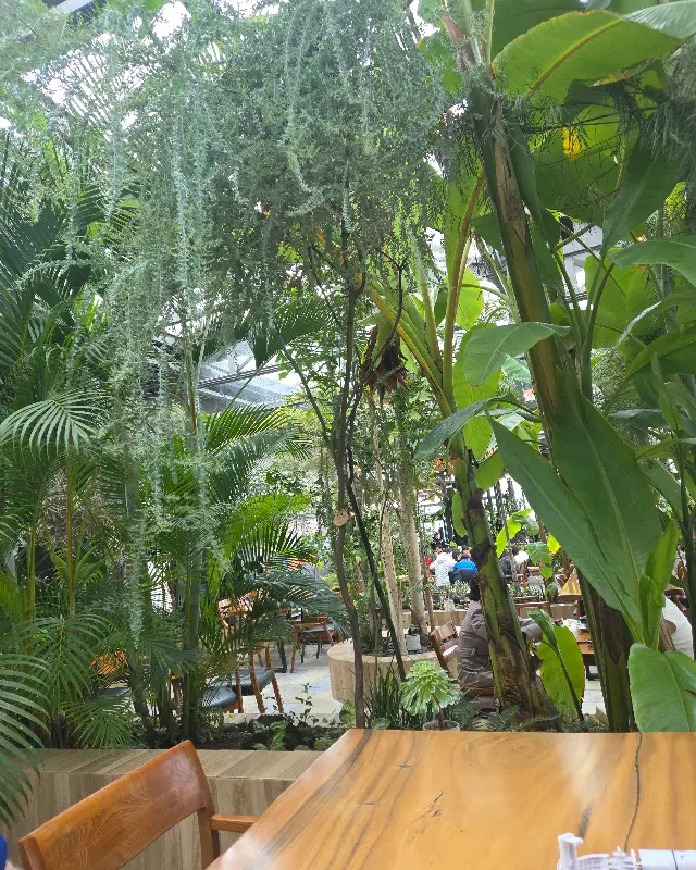 카페 내부, 식물과 테이블