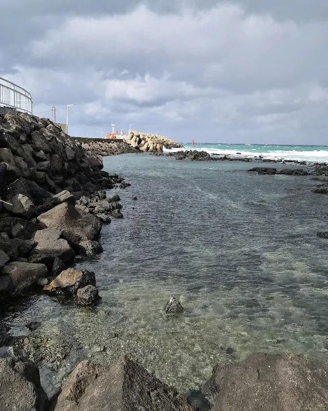 하트 모양 라떼 아트가 돋보이는 따뜻한 라떼