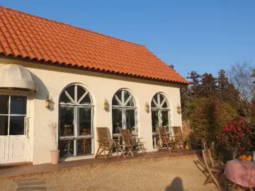 귤 향기 가득한 제주도 감귤밭 속 유럽풍 카페, 인생샷 맛집