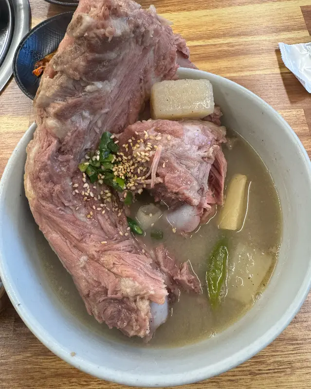 접짝뼈국의 뼈다귀