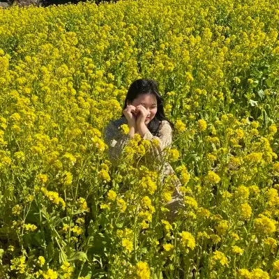 활짝 핀 유채꽃밭