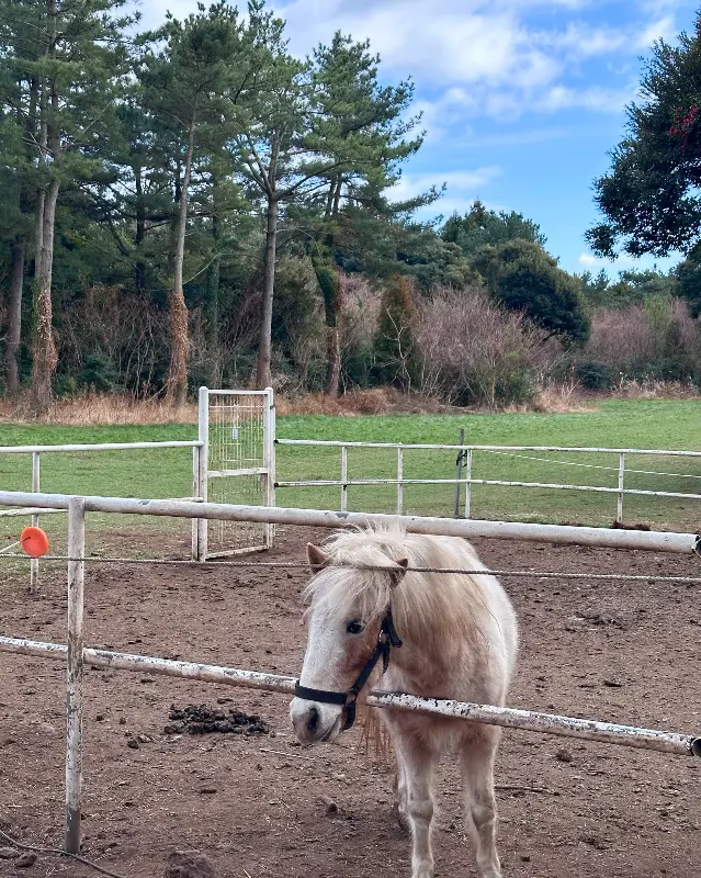 울타리 너머로 보이는 드넓은 초원과 하늘