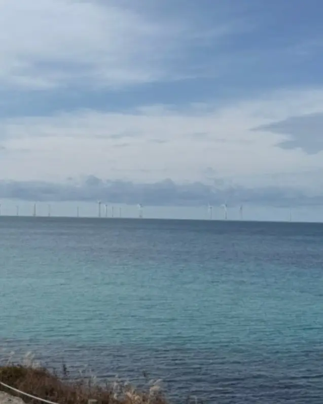 팀블로우에서 보이는 바다 풍경