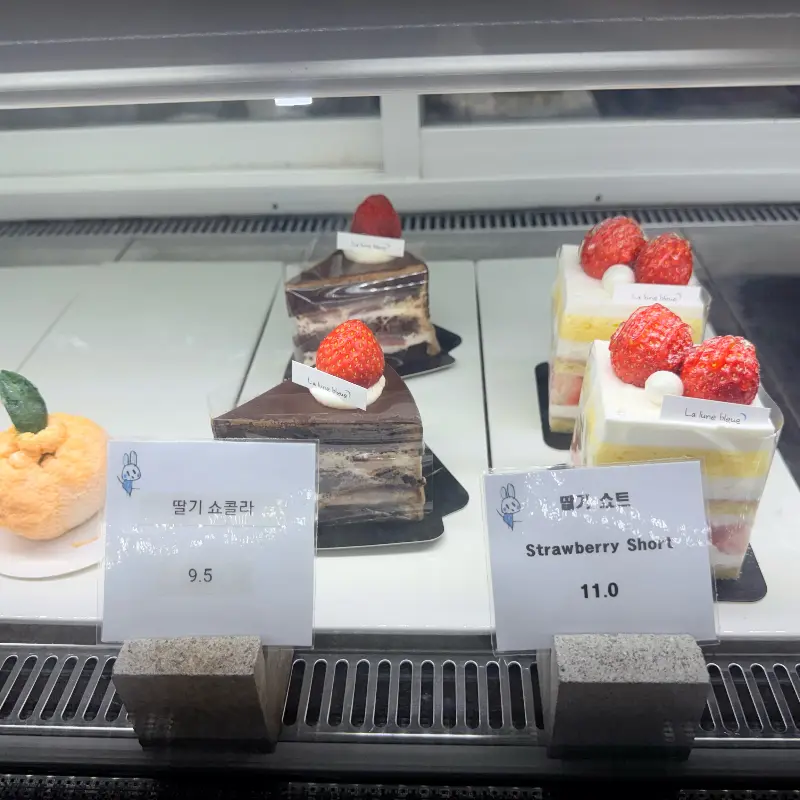 쇼케이스 안의 케이크