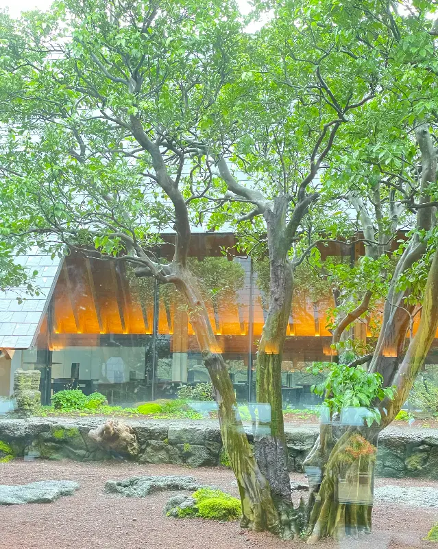 카페 내부에서 바라본 정원 풍경