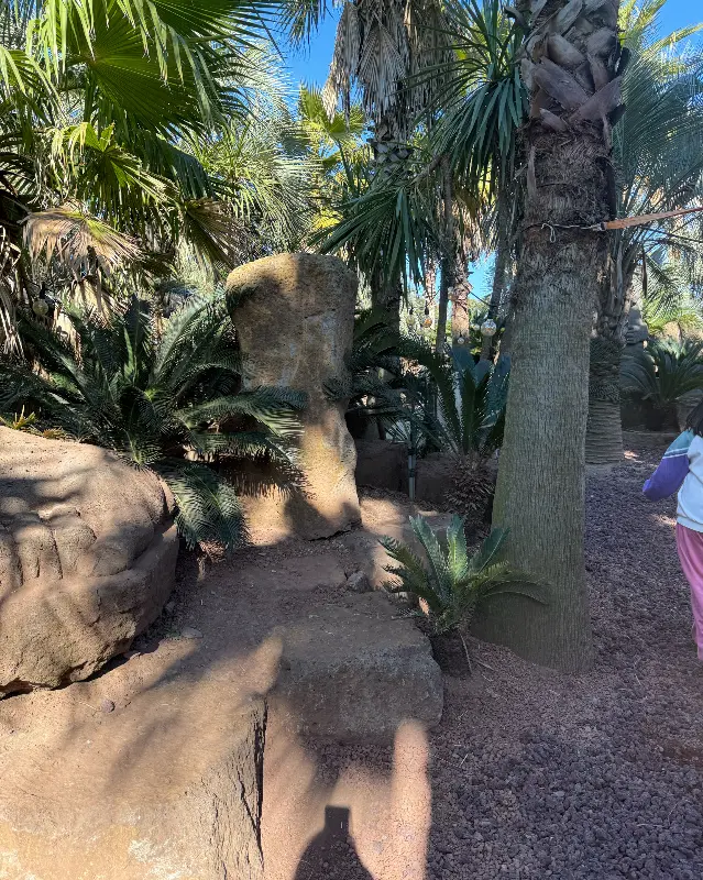 어린왕자 감귤밭 야외 풍경