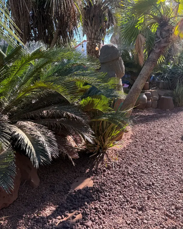 어린왕자 감귤밭 야외 테이블