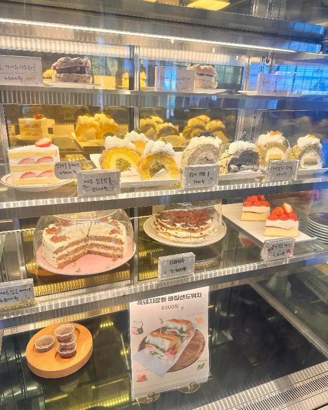 케이크 쇼케이스