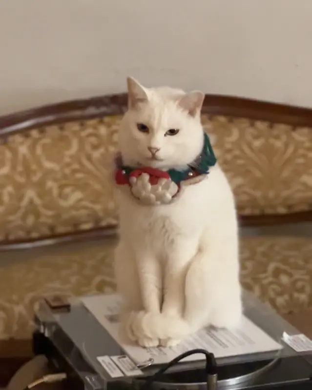 카페 내부 안내문