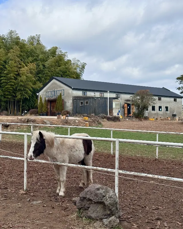 목장의 건물 앞에서 풀을 뜯어 먹고 있는 포니
