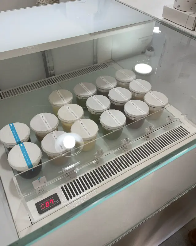 우무 푸딩 쇼케이스