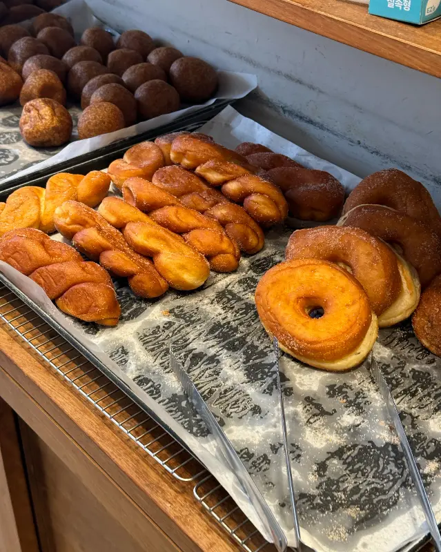 진열된 도넛들