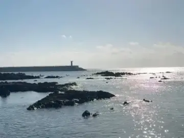 영화 속 한 장면처럼, 서귀포 바다를 품은 카페서연의집 맛집 기행