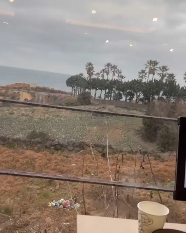 애월 삼육공 본점 창밖 풍경