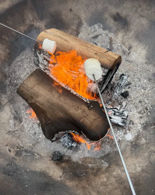 모닥불에 마시멜로를 구워먹는 아이들