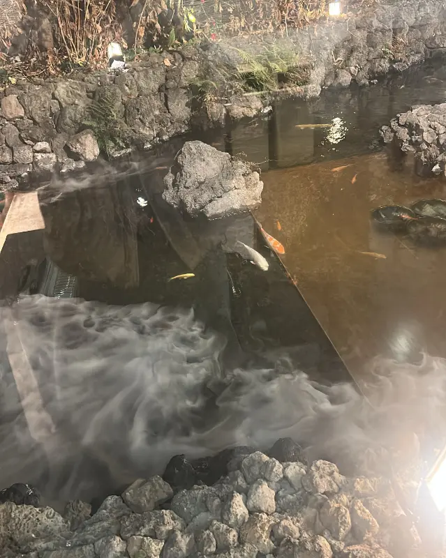 고국수 연못 내부