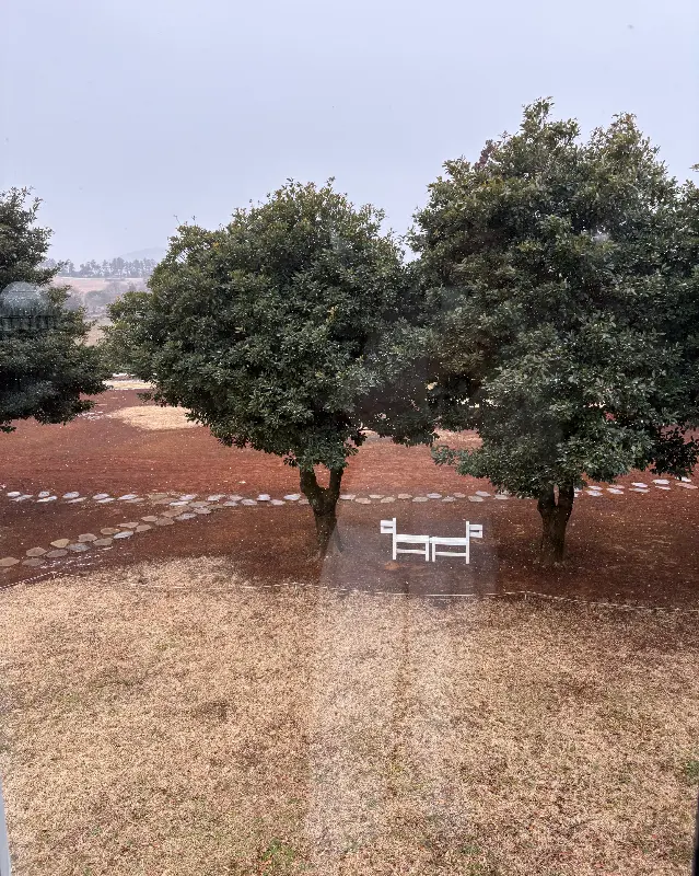 창문 너머로 보이는 목장의 풍경.