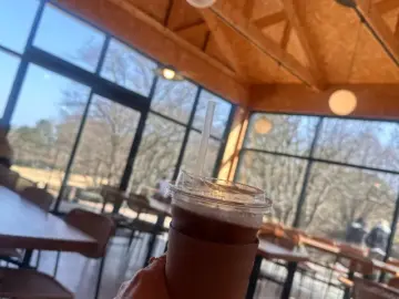 제주 품은 이끼 정원, 소길에서 만난 인생 커피 맛집