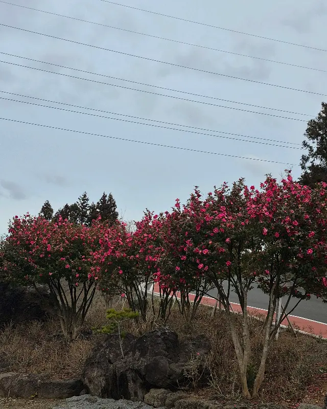 토끼 먹이 주기 체험