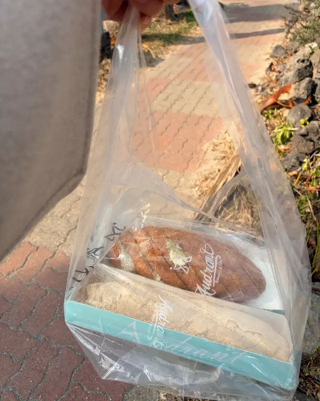 포장된 마농 바게트