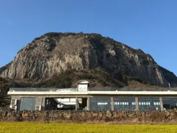 산방산 품은 그림 같은 서귀포, 소색채본에서 맛보는 유채꽃 향기