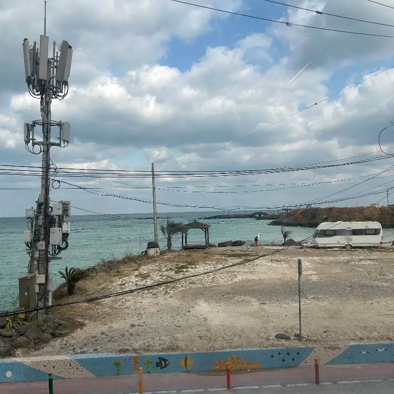 고등어회와 곁들여 먹는 양파