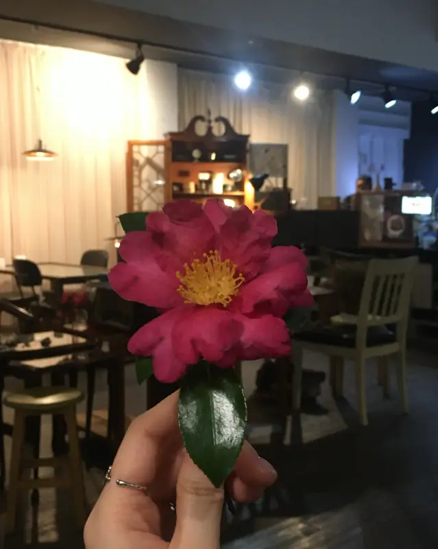 사장님이 들고 있는 동백꽃