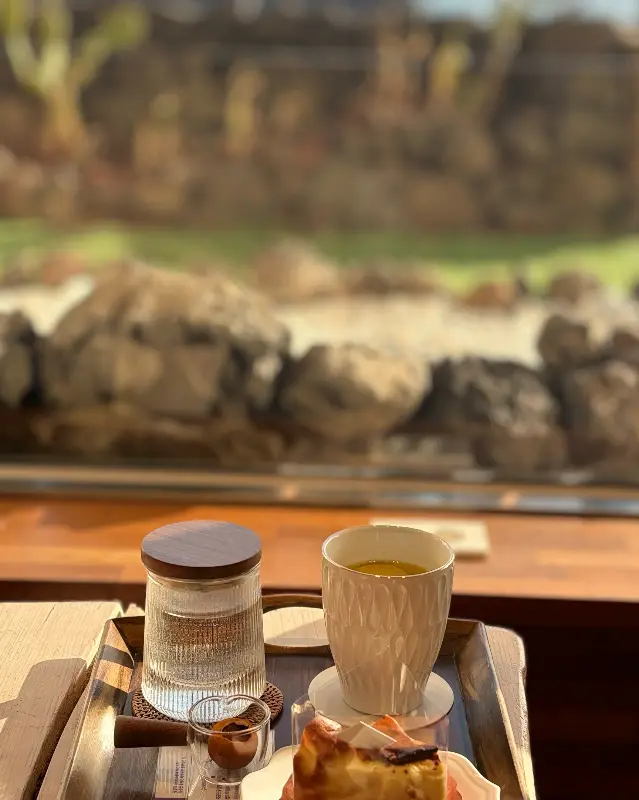 스케치브라운과 한라봉 케이크가 함께 놓인 모습