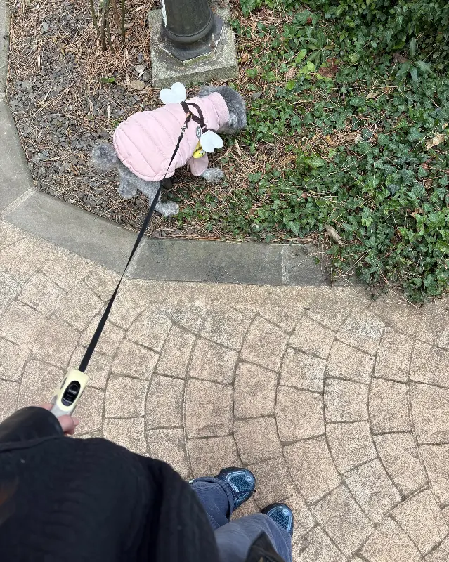 싱그러운 식물들이 놓여 있는 콜로세움 내부