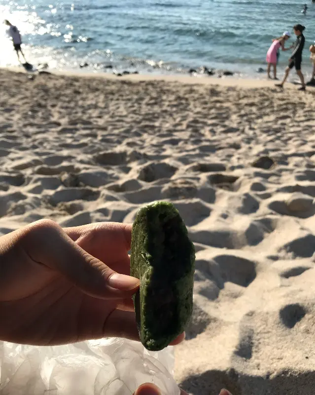 해변에서 즐기는 쌀쑥이