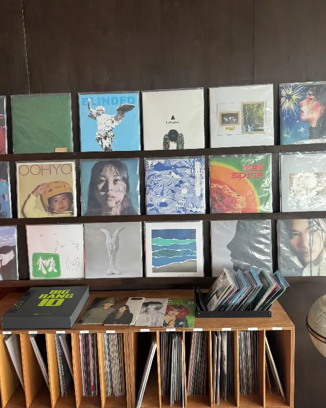 다양한 LP들이 장르별로 정리되어 있는 모습