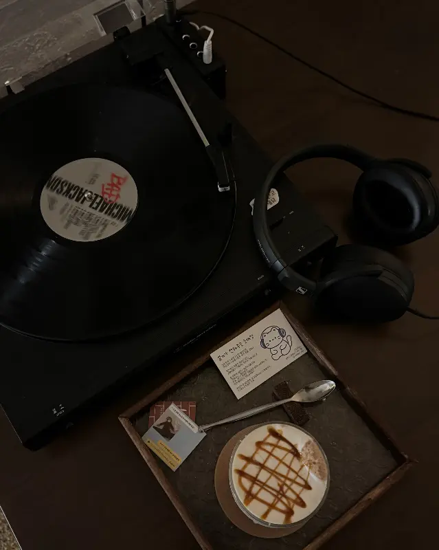 의자에 웅크리고 앉아 잠든 고양이 설기