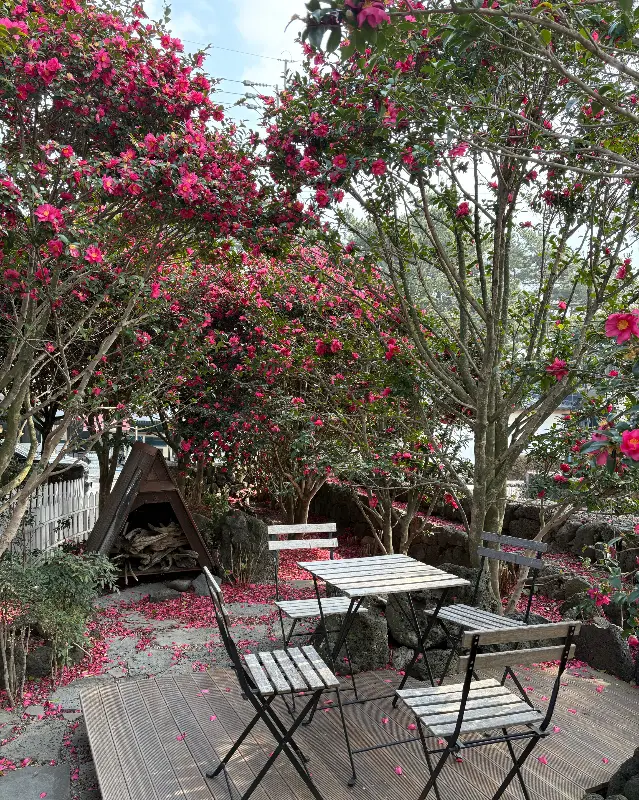 정원에 마련된 테이블과 의자