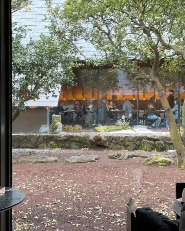 플리쉬 치아바타