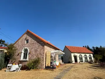 새콤달콤한 미학: 제주 감귤밭 속 유럽풍 제주 맛집에서 찾은 인생샷