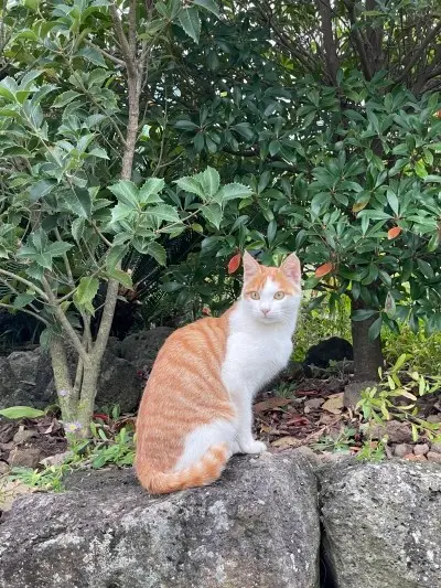 카페 주변 풍경