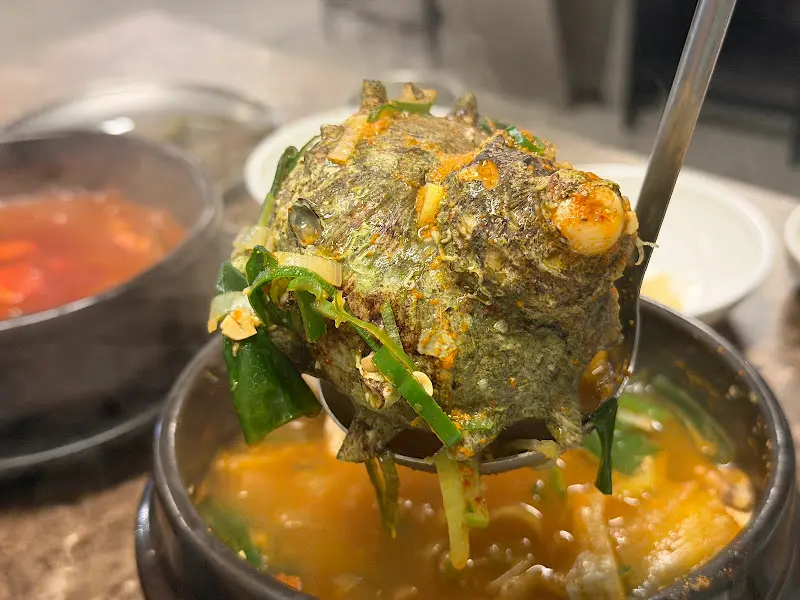 해물이 가득한 뿔소라 해물뚝배기