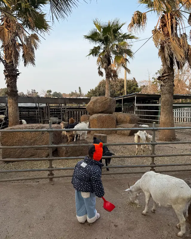 동물 먹이 주기 체험, 아이들이 동물들과 교감하고 있다.