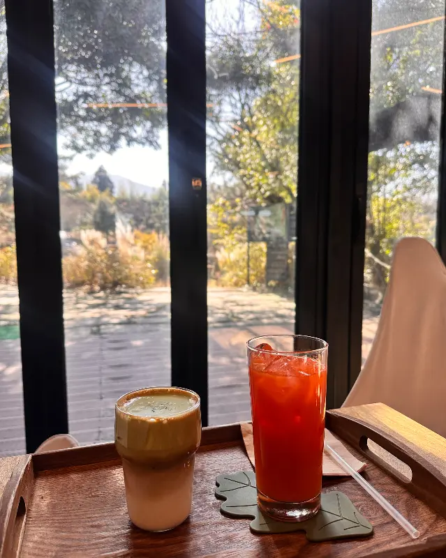 테이블 위에 놓인 음료 두 잔