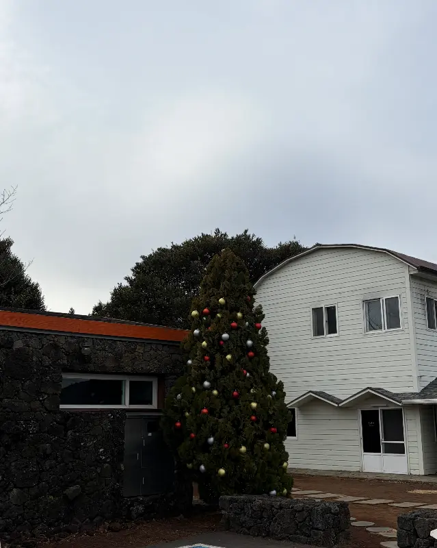 밭디의 맛있는 디저트