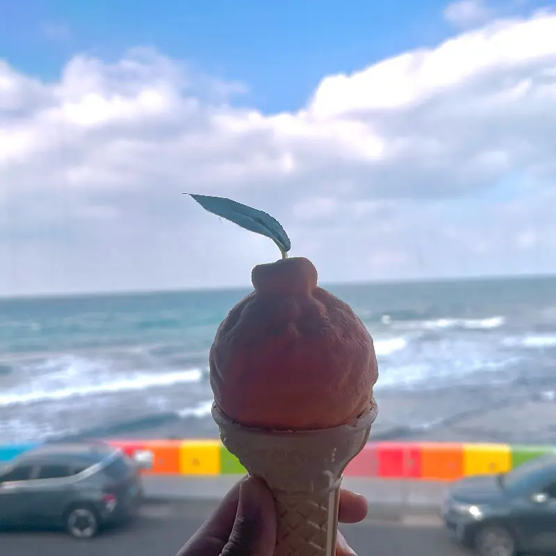 젤라봉 아이스크림