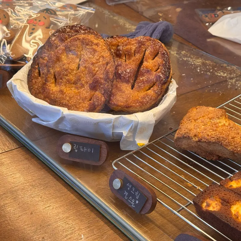 토토네의 다양한 빵들