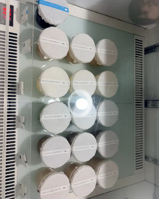 우도 땅콩 푸딩