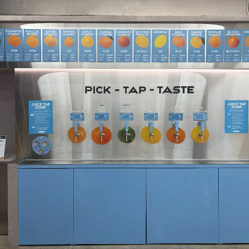 판매 중인 귤 관련 굿즈