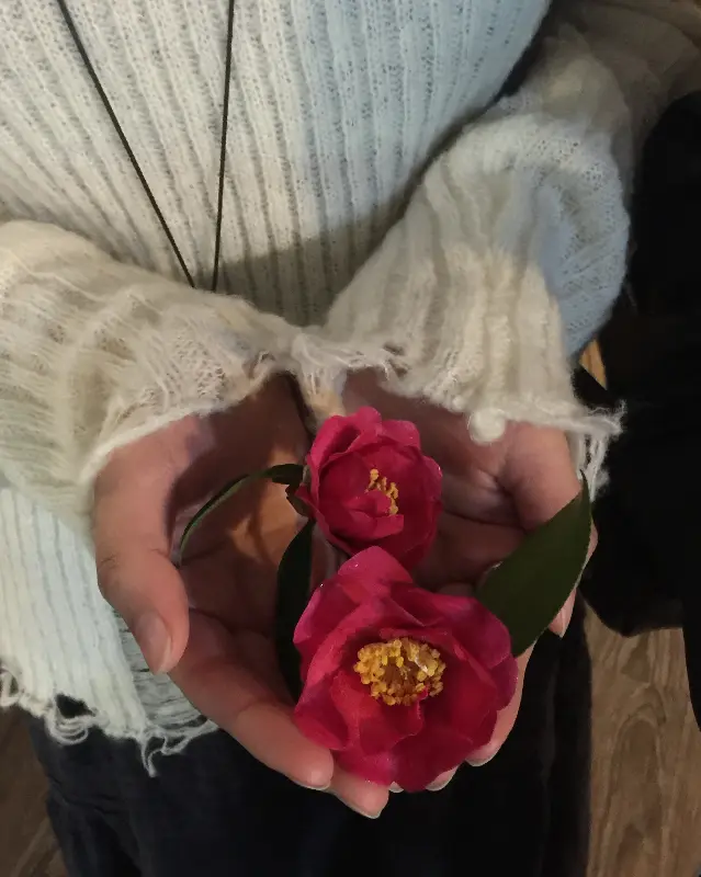 선물로 받은 동백꽃